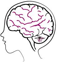 confusion_visual_education