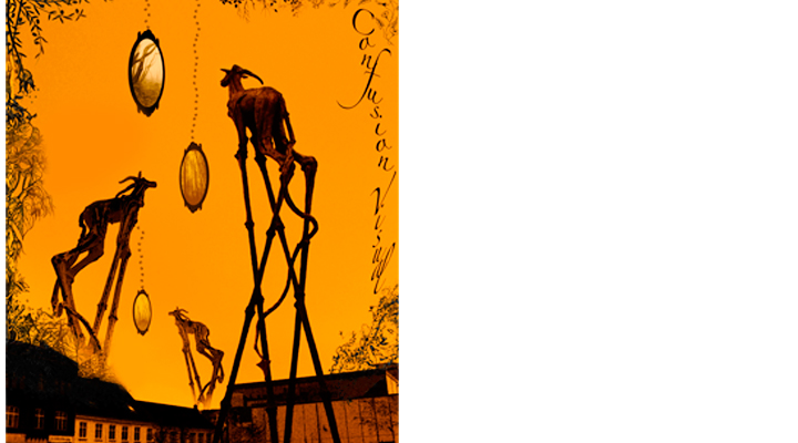 confusion_visual_portfolio